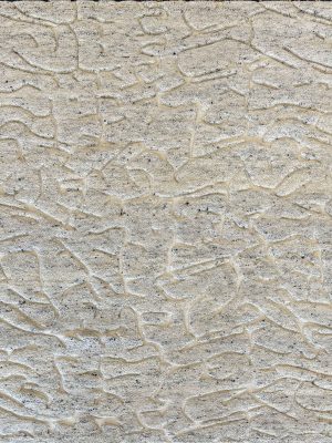 Sahara Rug - Iced Latte 240x170cm